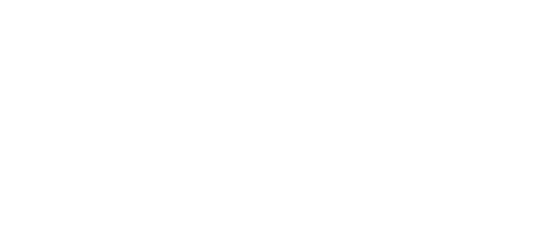 Mr Fire white Logo